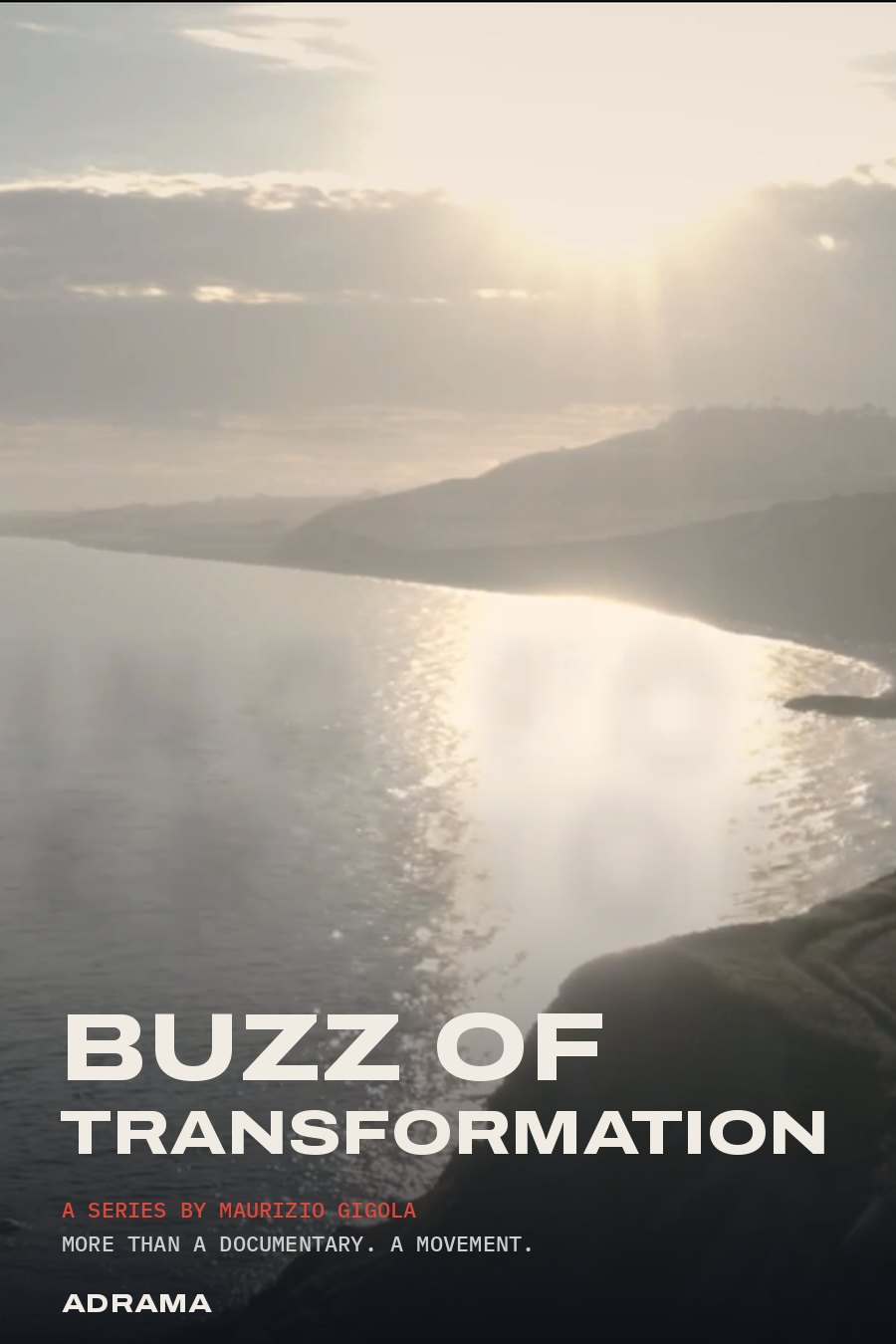 Locandina di Buzz of Transformation