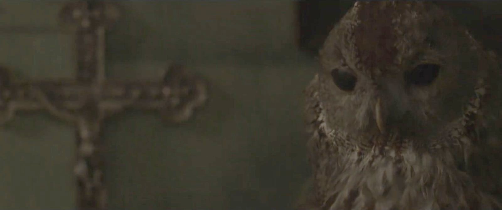 Foto di scena di I See Monsters 4
